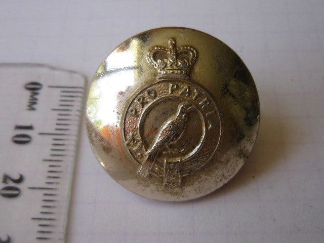 New Zealand Women's Royal Army Corps 25mm Staybrite Button